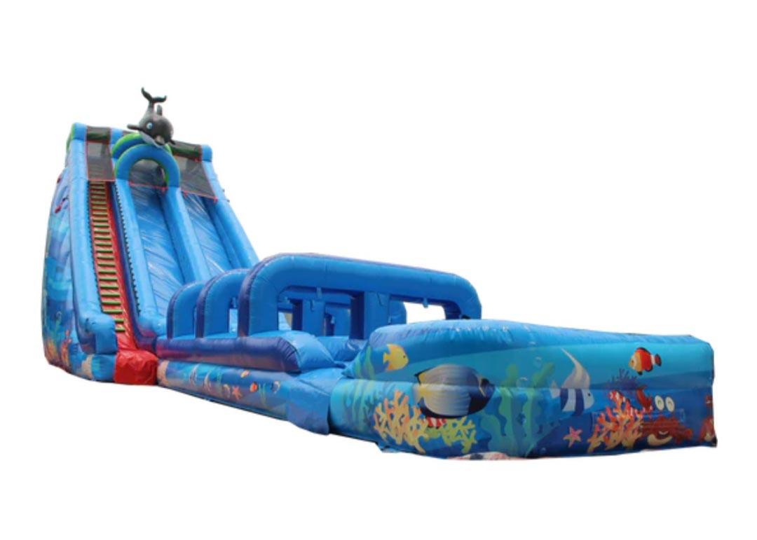 Reliable Bounce House Rental Company Bounce House Rentals, Delaware Home 3